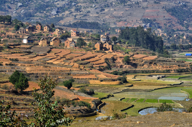 Hoogvlakte nabij Antsirabe
