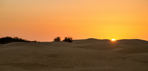 Sahara Sunset 