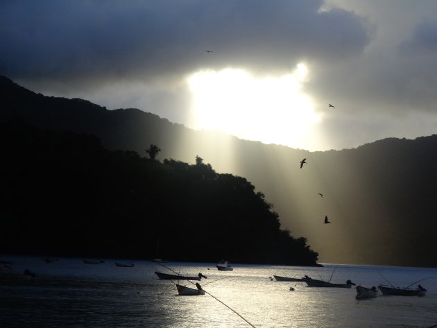 Pelikanen duiken door laatste zonnestralen boven de 'Men Of War Bay' in Tobago