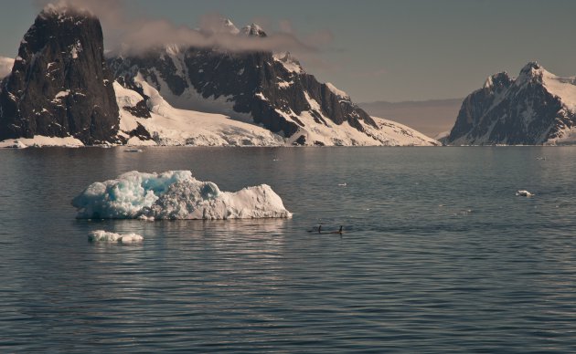 Mooie landschap met ijs en orca's