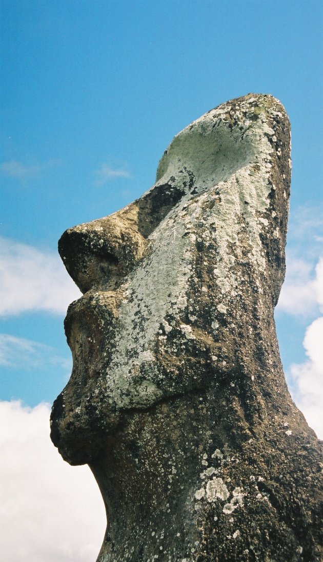The walking Moai