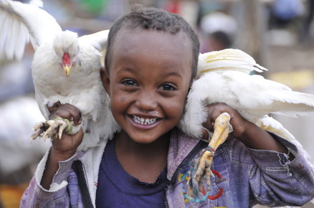 Jongetje op de markt met kippen