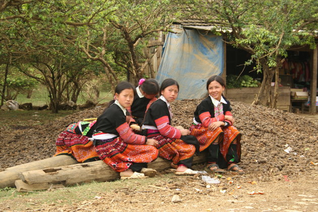 Flower Hmong