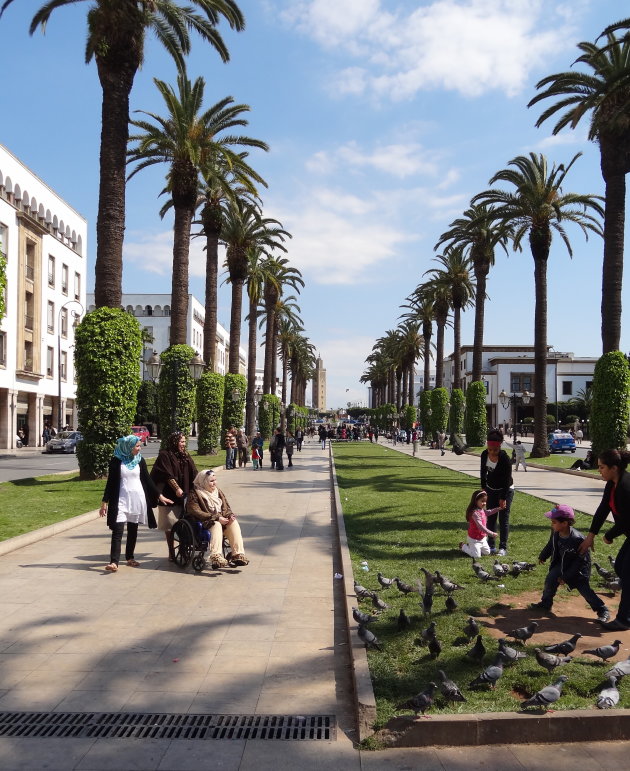 Zoek je een  leuke stedentrip? Ga naar Rabat. 