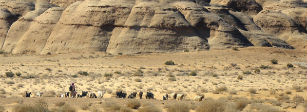 Herder in de woestijn