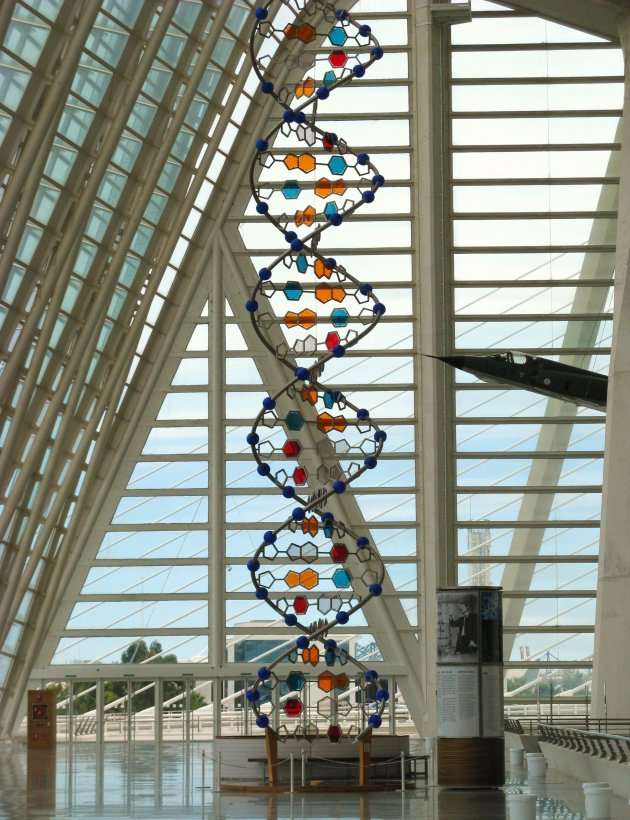 DNA molecuul