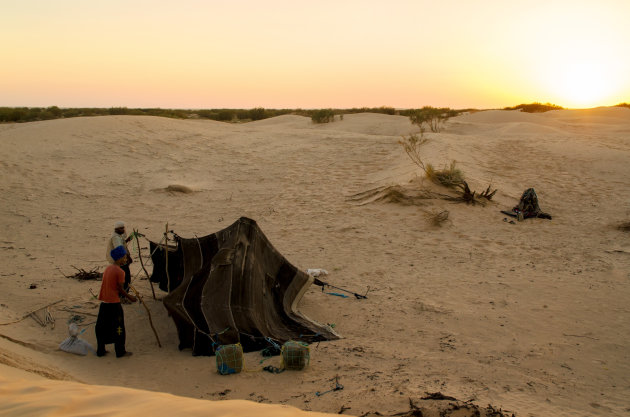 Tent opzetten bij ondergaande zon in de Sahara