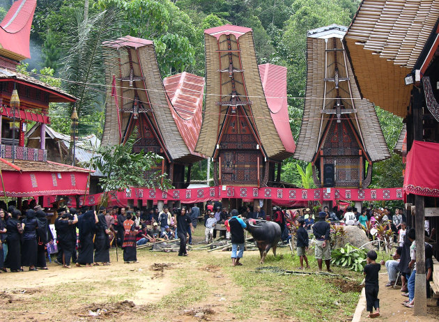 Tana Toraja begrafenisrituelen