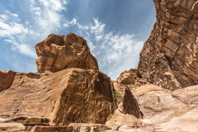 De natuur nabij Petra