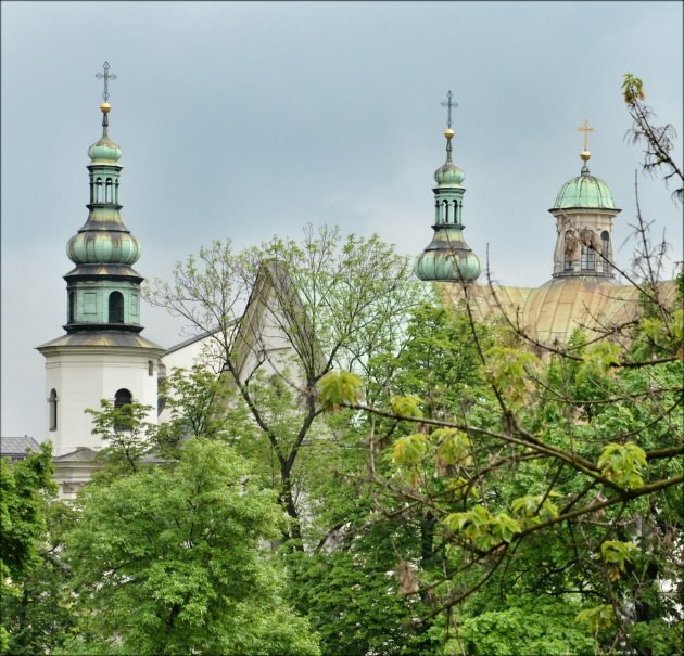 Uitzicht Wawel