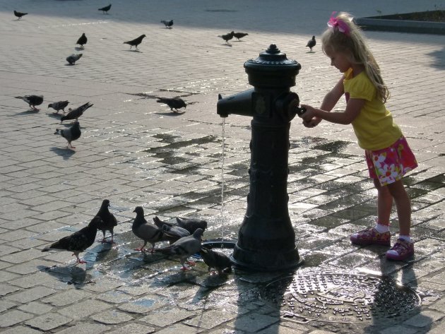 Het meisje en de duiven