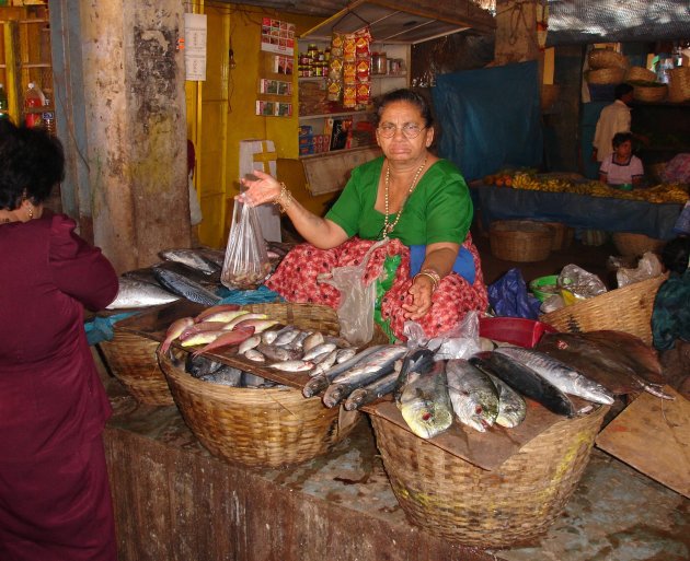 Op de vismarkt in Panjim.
