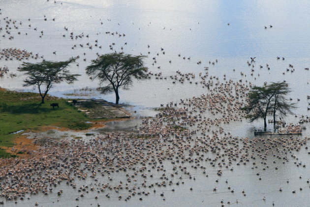 lake Nakuru van boven af