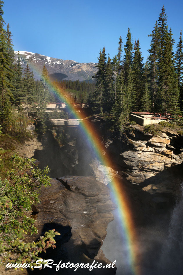 Athabasca Falls bonus