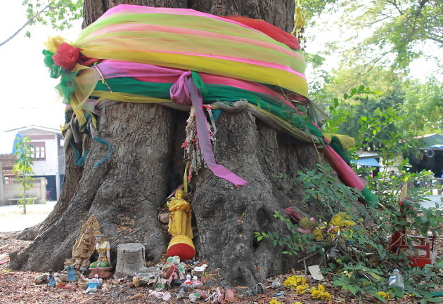 Een speelgoedboom in Ayutthaya