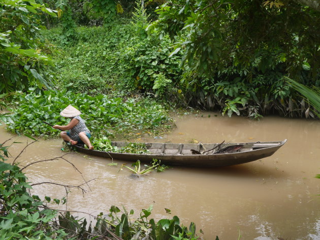 Mekong Delta, maar dan anders.