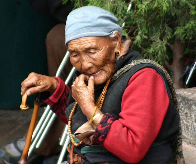 Tibetaanse Pelgrim