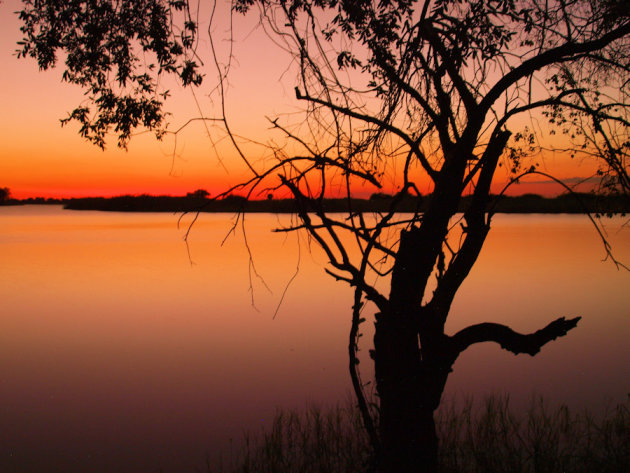 Chobe river sunset