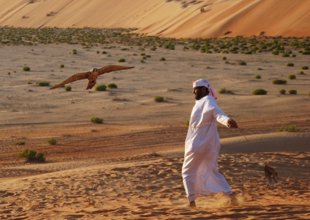 Duikvlucht in Abu Dhabi