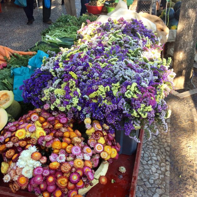Bloemen op de markt van Estremoz op zaterdag 