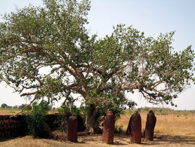 De hunebedden van Gambia