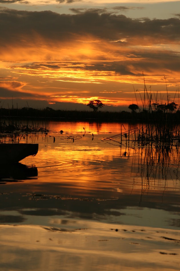 Okavango Delta vanuit een mokoro