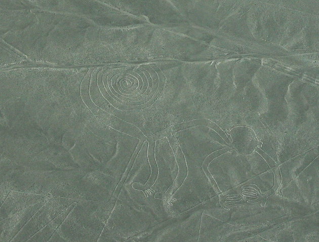 Nazca Aap