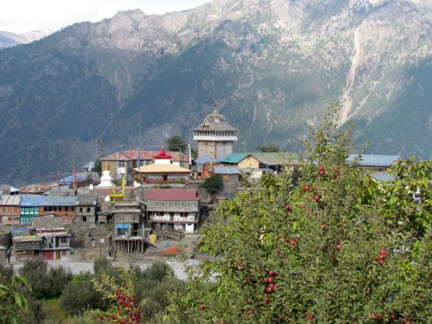 Uitzicht op Kalpa