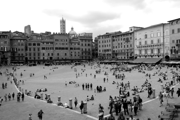 Piazza Del Campo