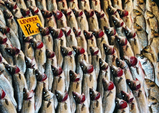 Kunst op de vismarkt in Istanbul