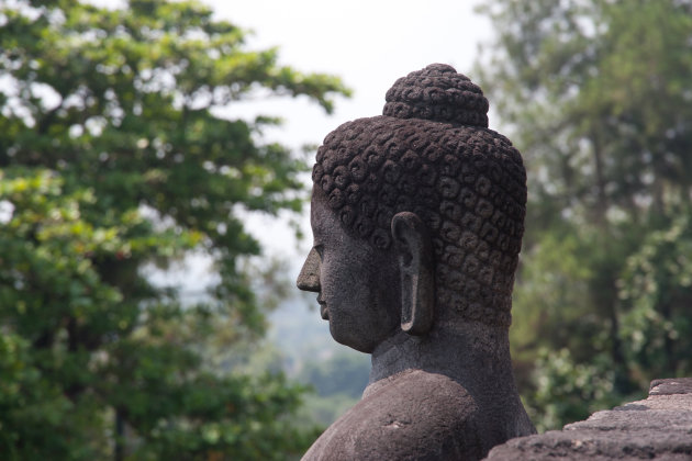 Borobudur pure sang