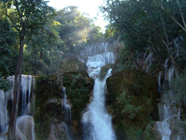 Jungle watervallen
