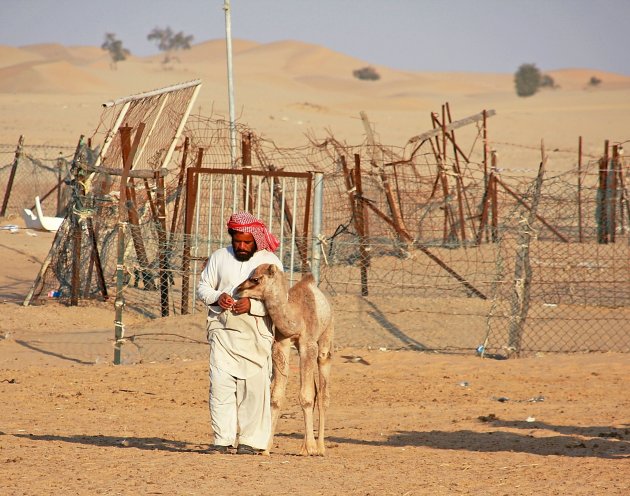 Kamelenboerderij
