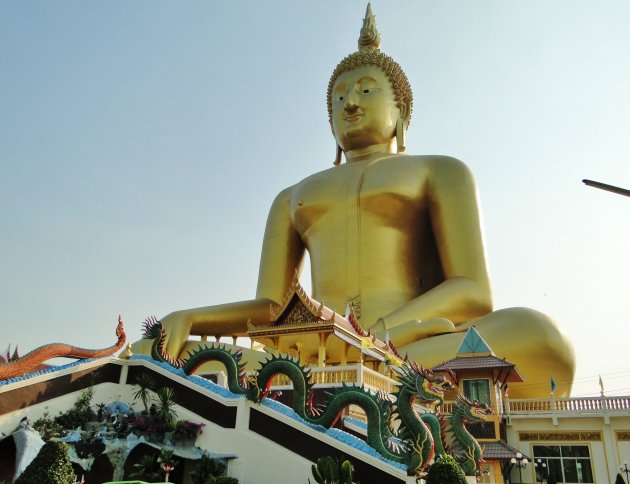 Grootste Boeddha beeld