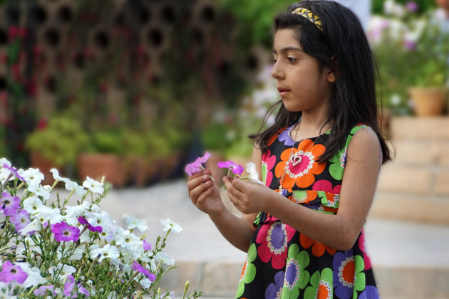 Bloemen voor Hafez