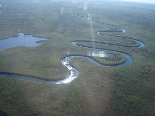 Okavangodelta 