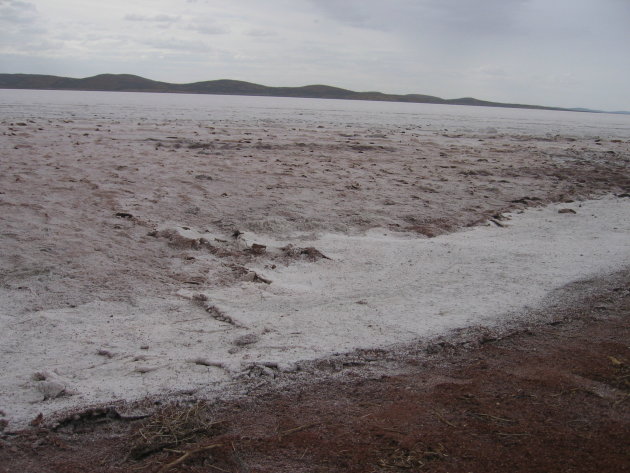 The Nullarbor een stukje Australie om verliefd op te worden: grootste zoutmeer van Australie