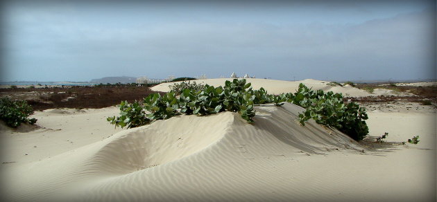 duinen op Boa Vista