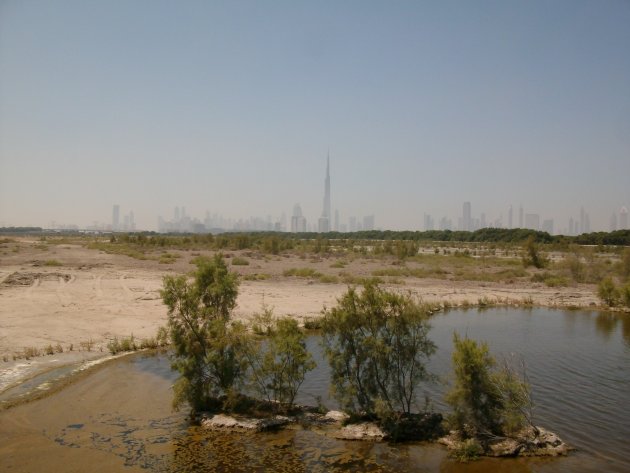 Ras Al Khor Wildlife Sanctuary Dubai: expect the unexpected