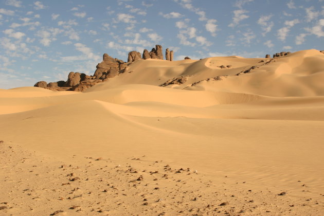 Sahara dreams