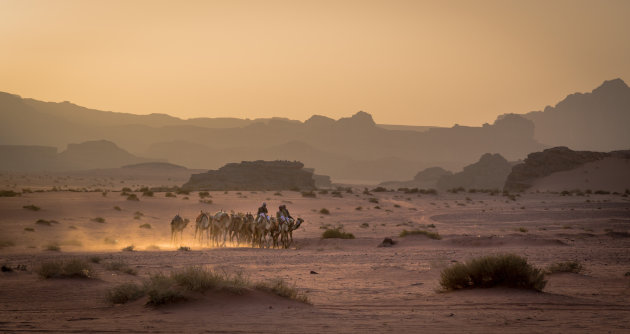 Een karavaan in de Wadi Rum