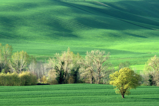 Toscane in de vroege lente.