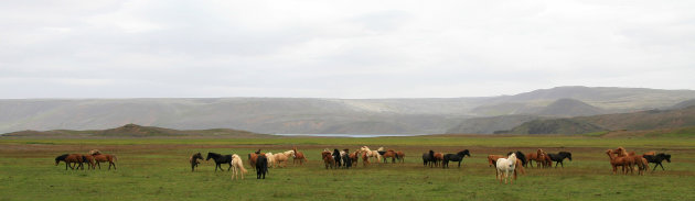 IJslanders (panorama)