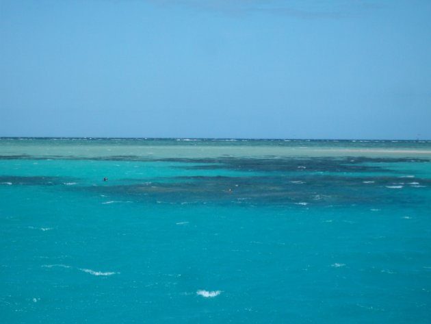 Tropisch blauw paradijs