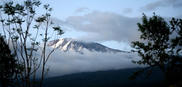 aan de voet van de kilimanjaro