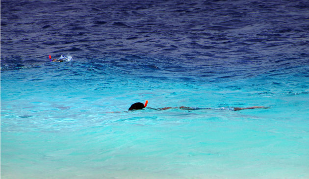 Ontdek de eindeloze onderwaterwereld van Bonaire