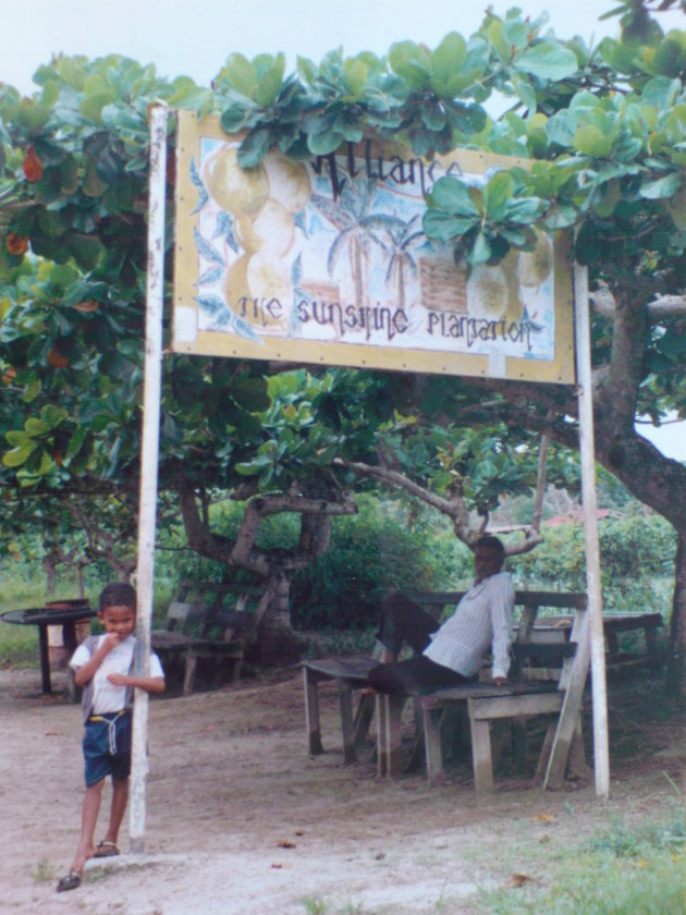 2001-2002 Plantage Alliance, the sunshine plantation.