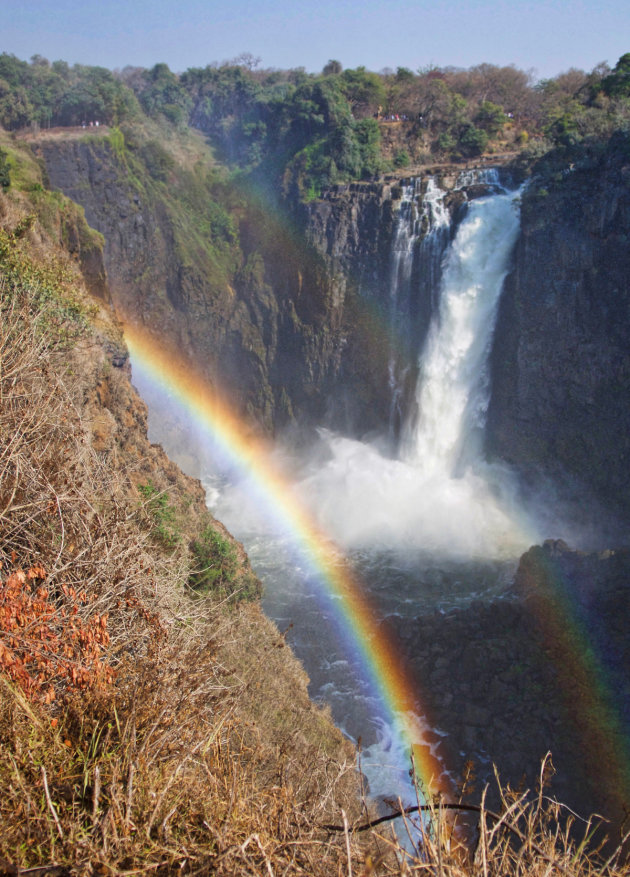 Regenboog bij Victoria Falls  