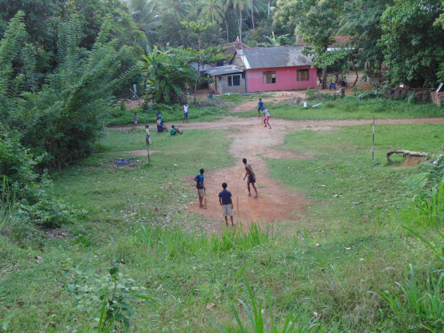 Cricket op platteland