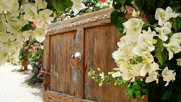 oude deur in bloemen pracht